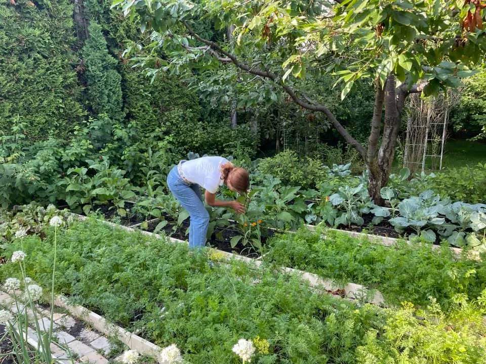 Марина Порошенко рассказала, как ухаживать за садом и огородом