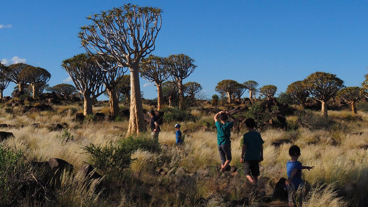 Семья с тремя детьми путешествует по всему миру, пока малыши не потеряли зрение: трогательная история