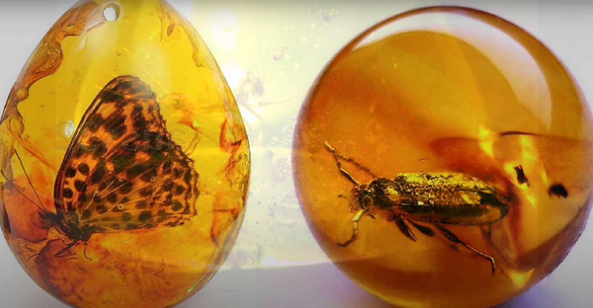 "Машина времени" и "сейф истории". Почему все исследователи обожают украинский янтарь?