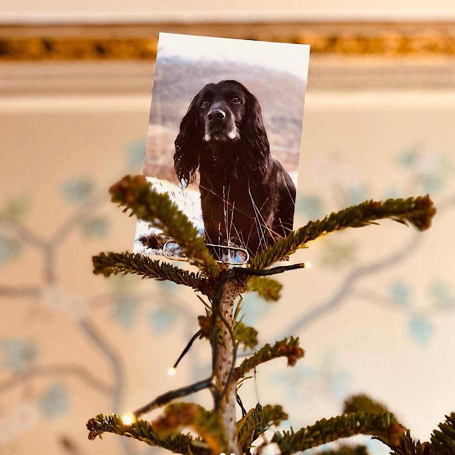 Брат Кейт Міддлтон показав, як святкує перше Різдво у ролі батька (фото)