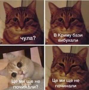 Мемы войны. Под какие шутки мы победим в битве за Независимость