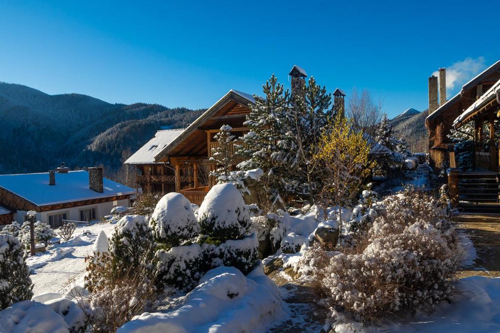 Шатли в Буковель та зимова казка. Забутий раніше куточок Карпат знову стає популярним