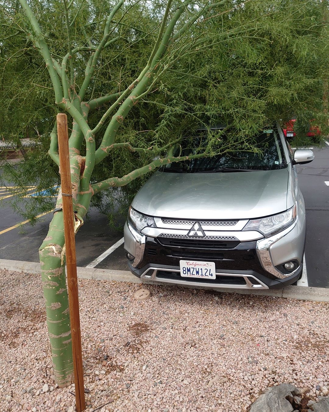 С Кондратюком произошла неприятная история во время отдыха: на машину упало дерево