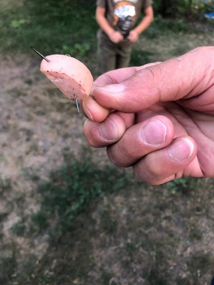 Активізувалися догхантери? Киян попередили про небезпеку при вигулі собак (фото)