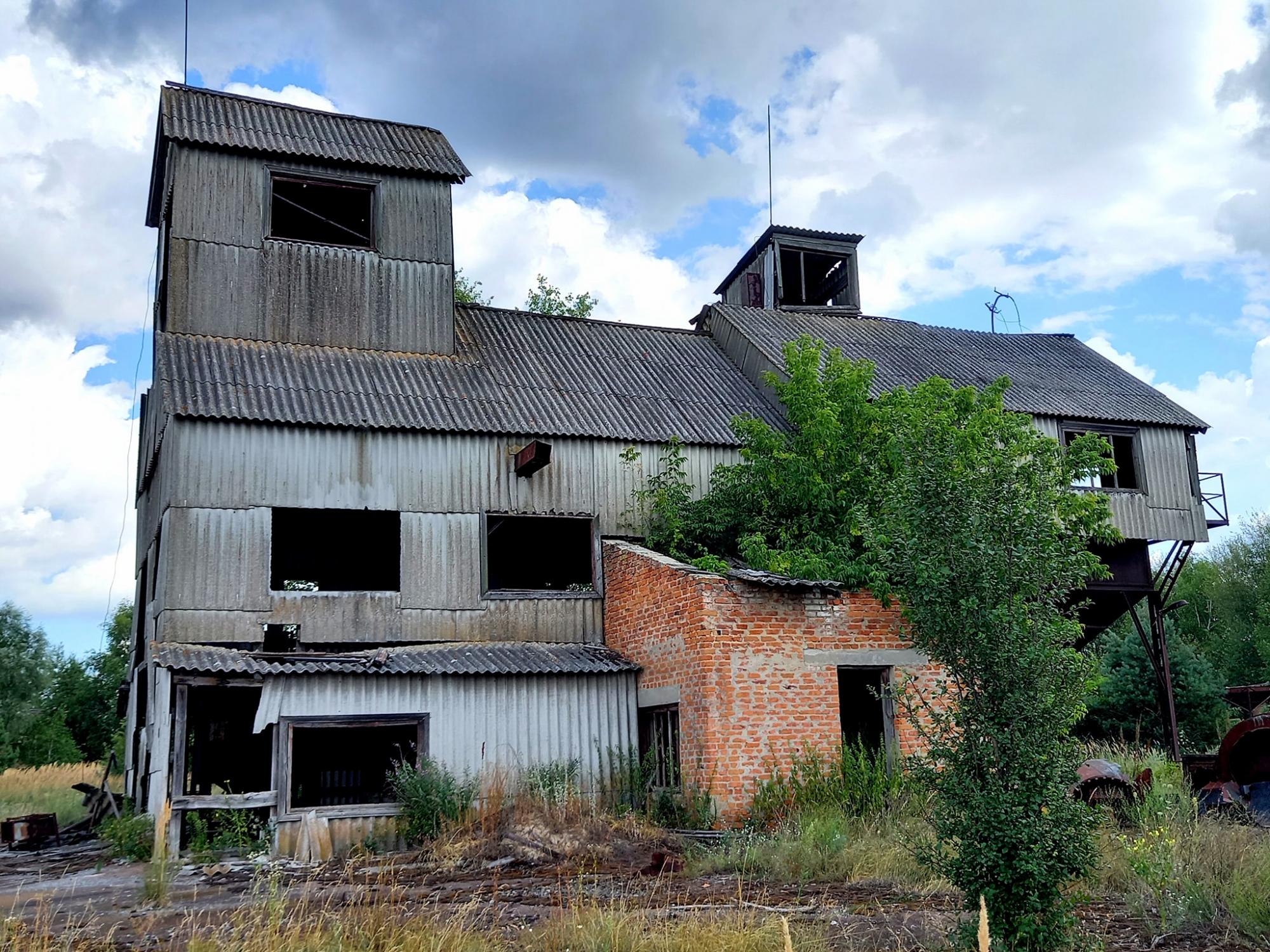 Смотрите, как выглядит заброшенное село Чернобыльской зоны: природа берет свое!