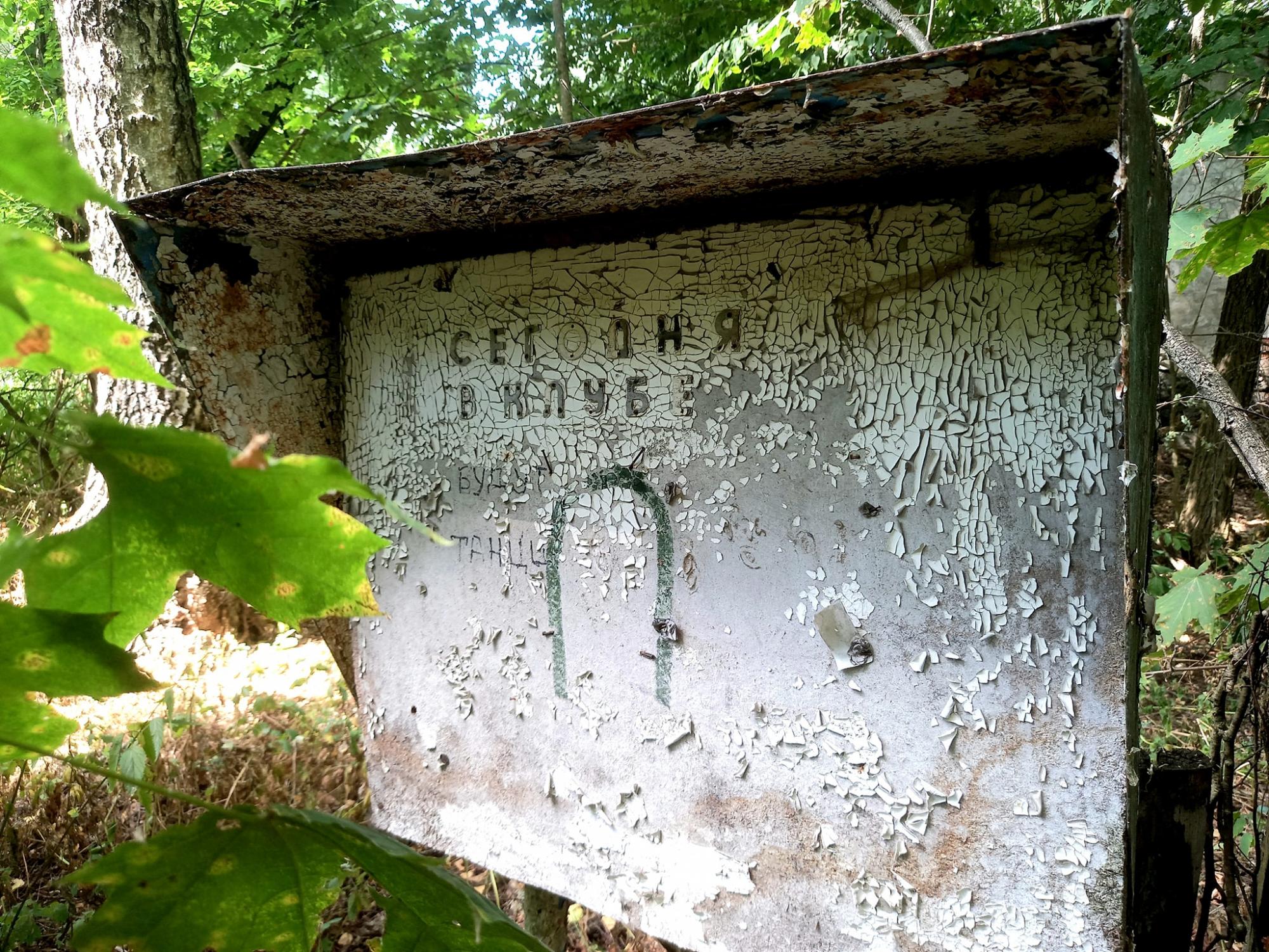 Смотрите, как выглядит заброшенное село Чернобыльской зоны: природа берет свое!