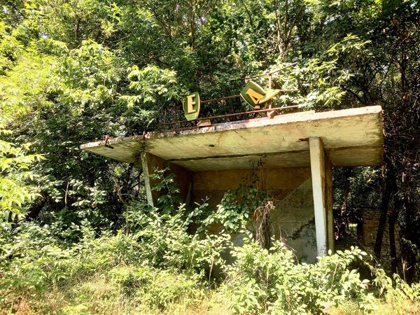 Смотрите, как выглядит заброшенное село Чернобыльской зоны: природа берет свое!