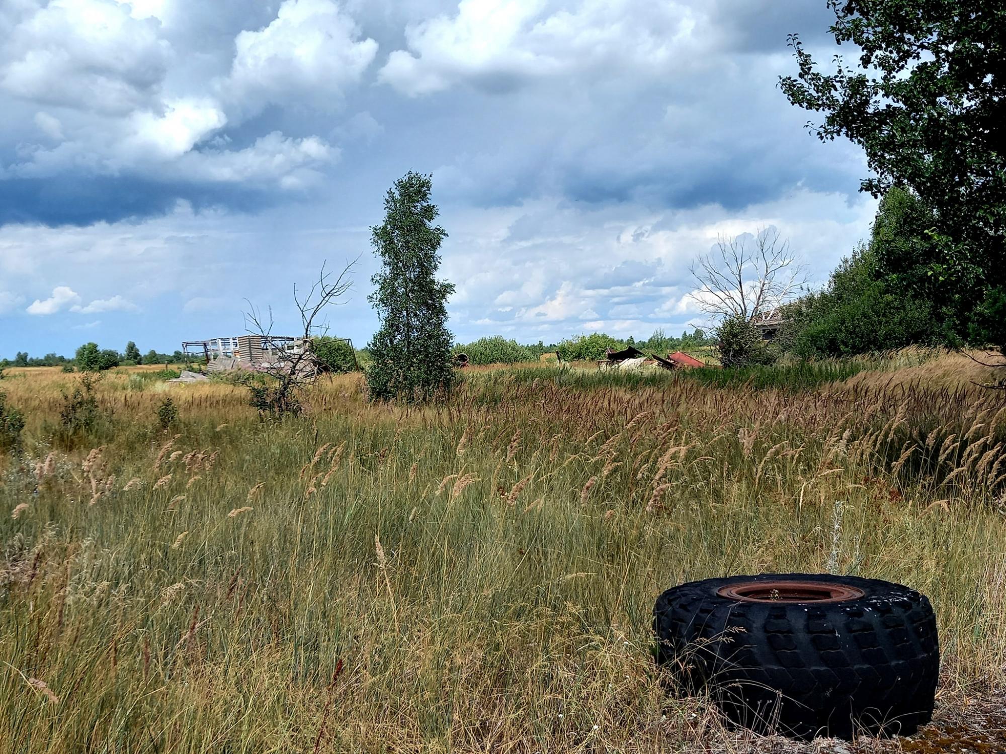 Смотрите, как выглядит заброшенное село Чернобыльской зоны: природа берет свое!