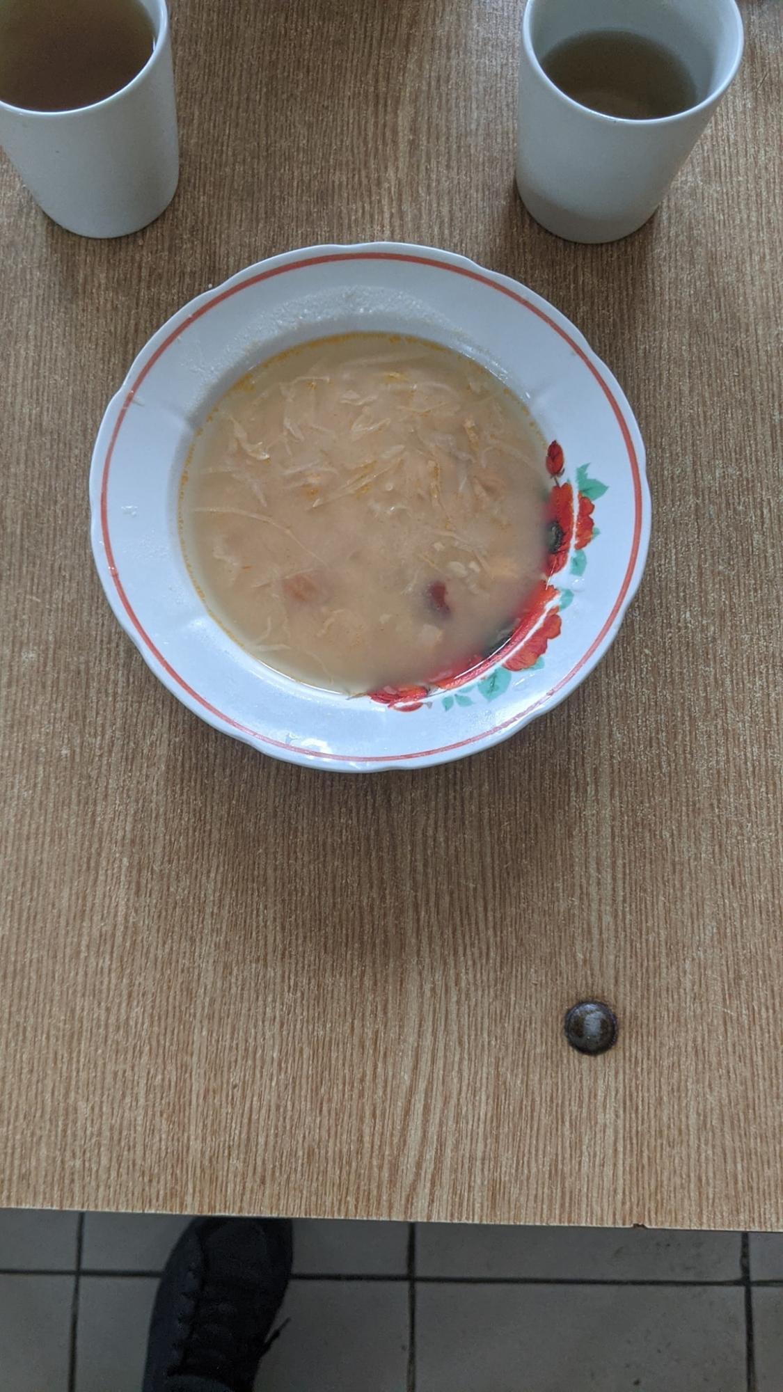 Под Запорожьем отец ученика показал, чем кормят детей в школе: в сети еду называют "баландой" (фото)