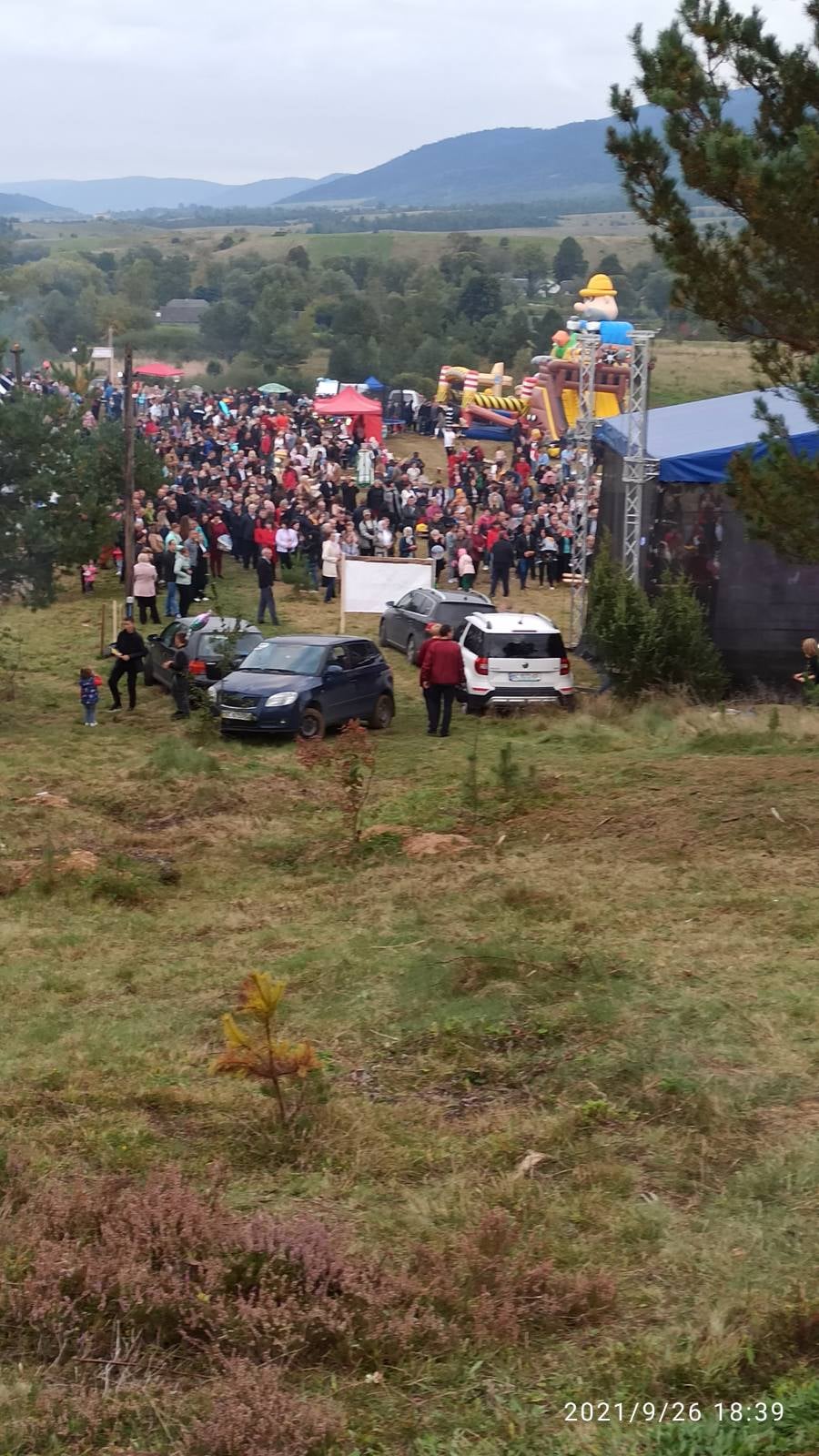 Внешне напоминает осьминога: во Львовской области заметили редкий гриб, который занесен в Красную книгу