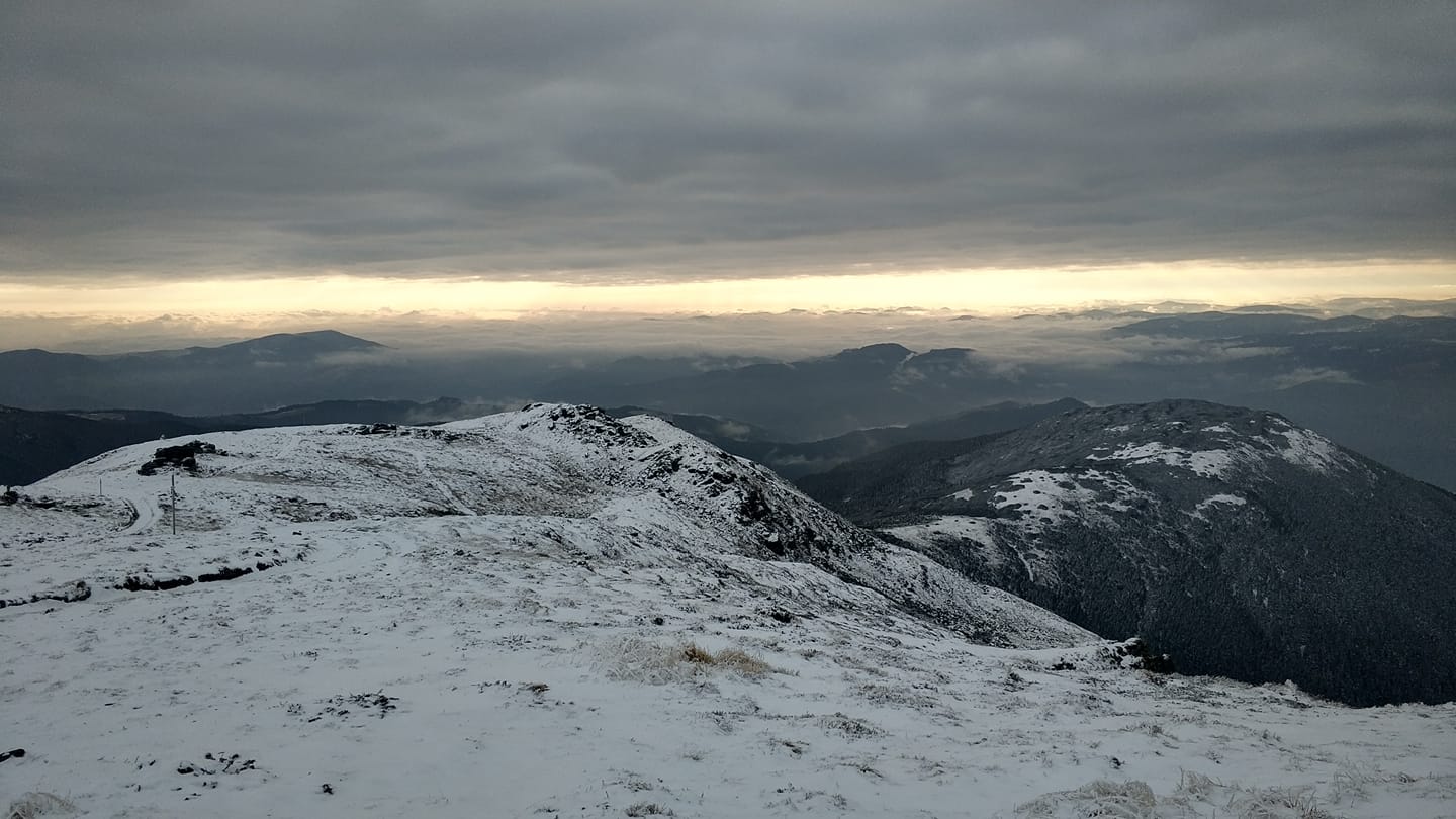 В Карпатах уже первые сугробы: красоту заснеженных гор показали на фото