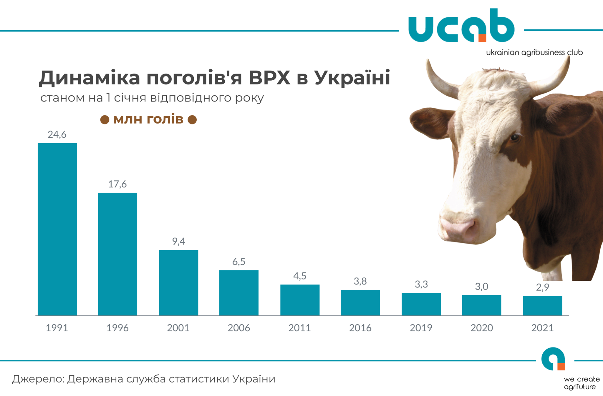 В Украине рекордно подорожала говядина: названы цены и причина