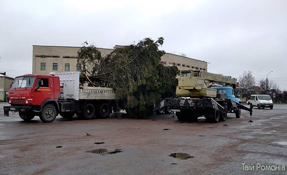 В Украине продолжается "елкопад": где успели упасть новогодние красавицы