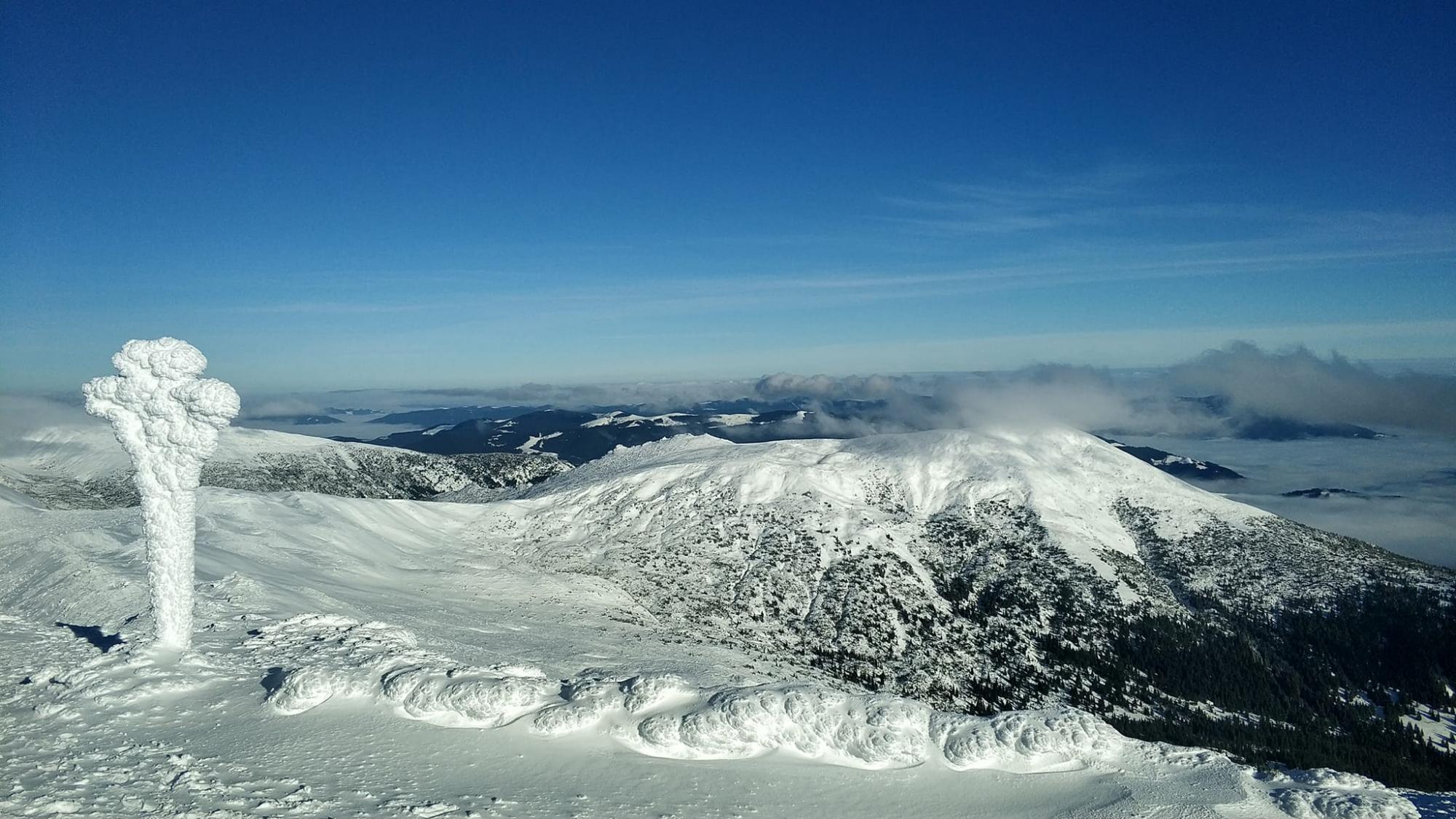 "Это просто невероятно": появились новые фото заснеженных Карпат, которые завораживают сказочной красотой
