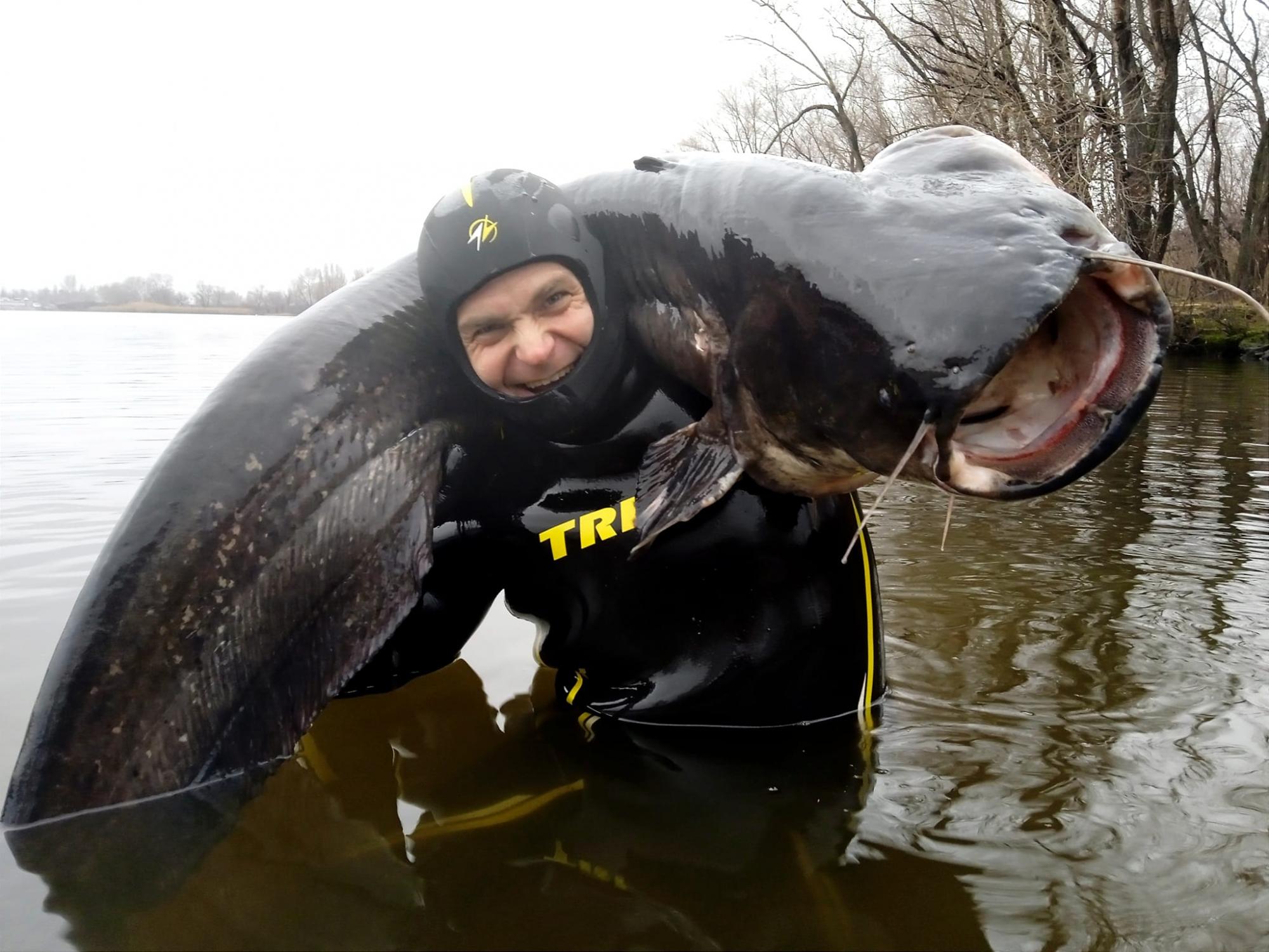 В Днепре мужчина поймал огромного сома весом почти 50 килограммов (фото)