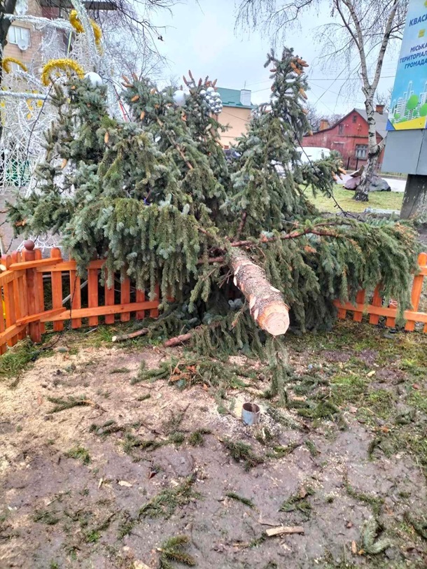 В Украине продолжается "елкопад": где успели упасть новогодние красавицы