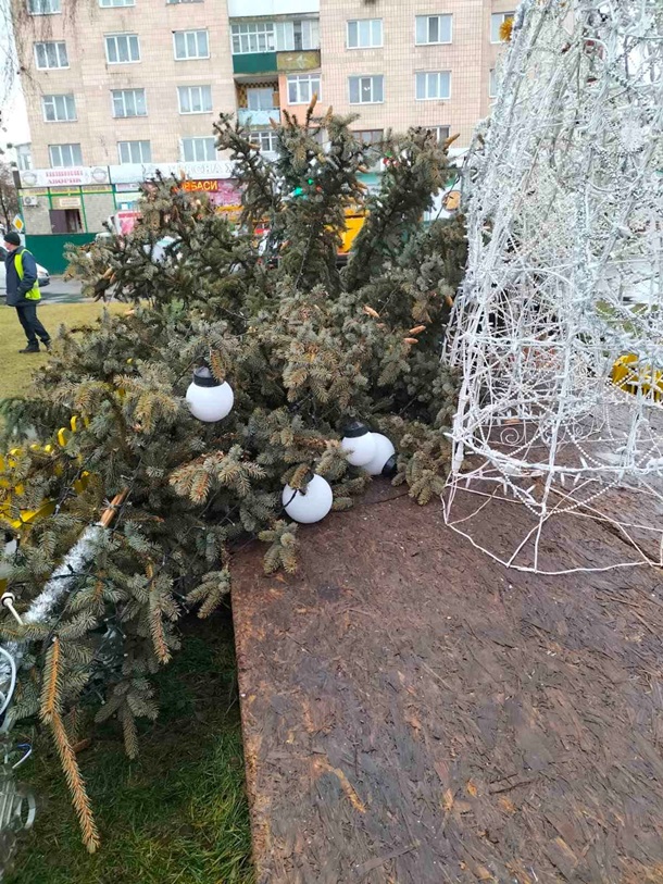В Украине продолжается "елкопад": где успели упасть новогодние красавицы