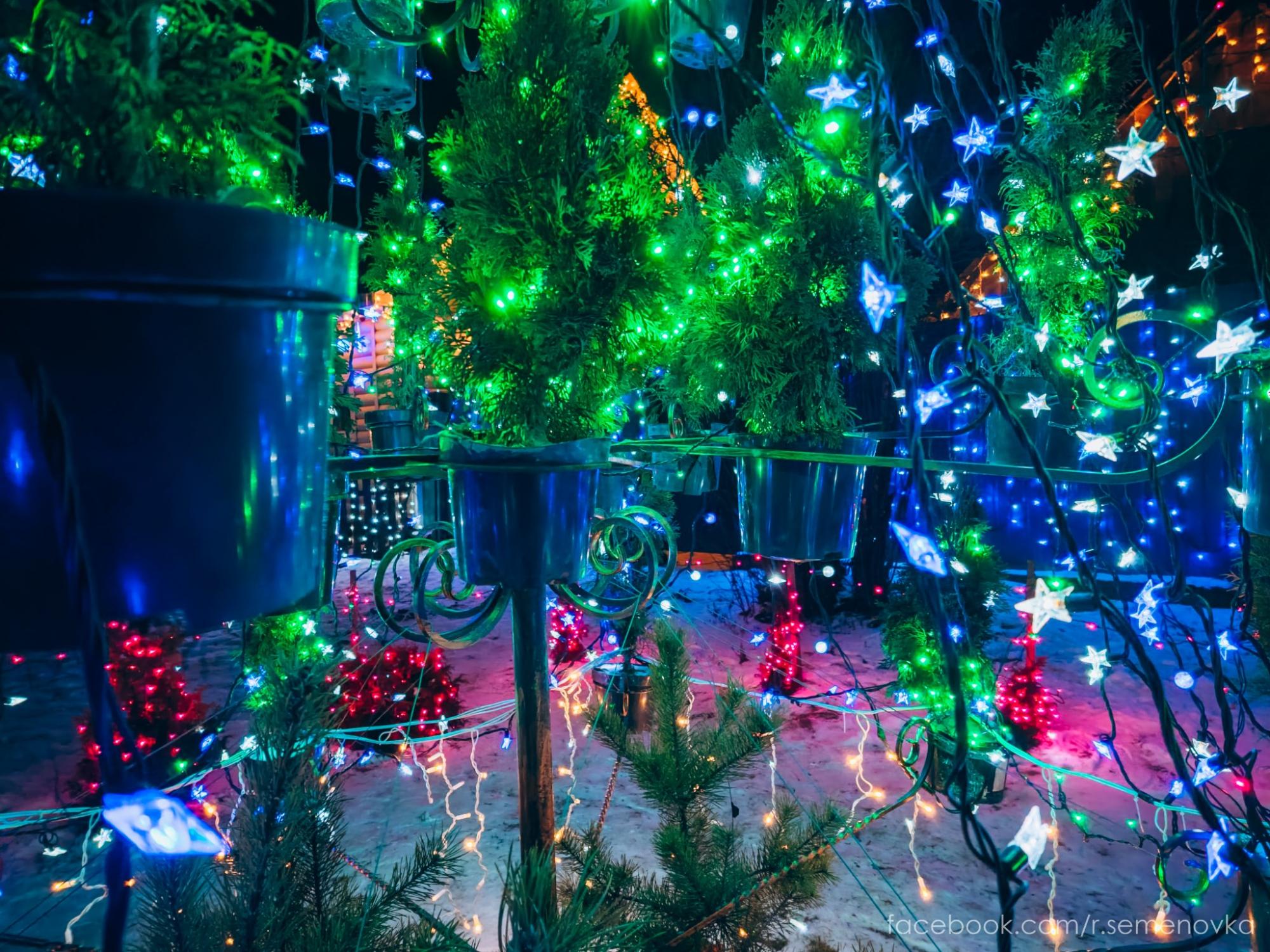 Под Черниговом мужчина сказочно украсил свой дом: праздничные фото