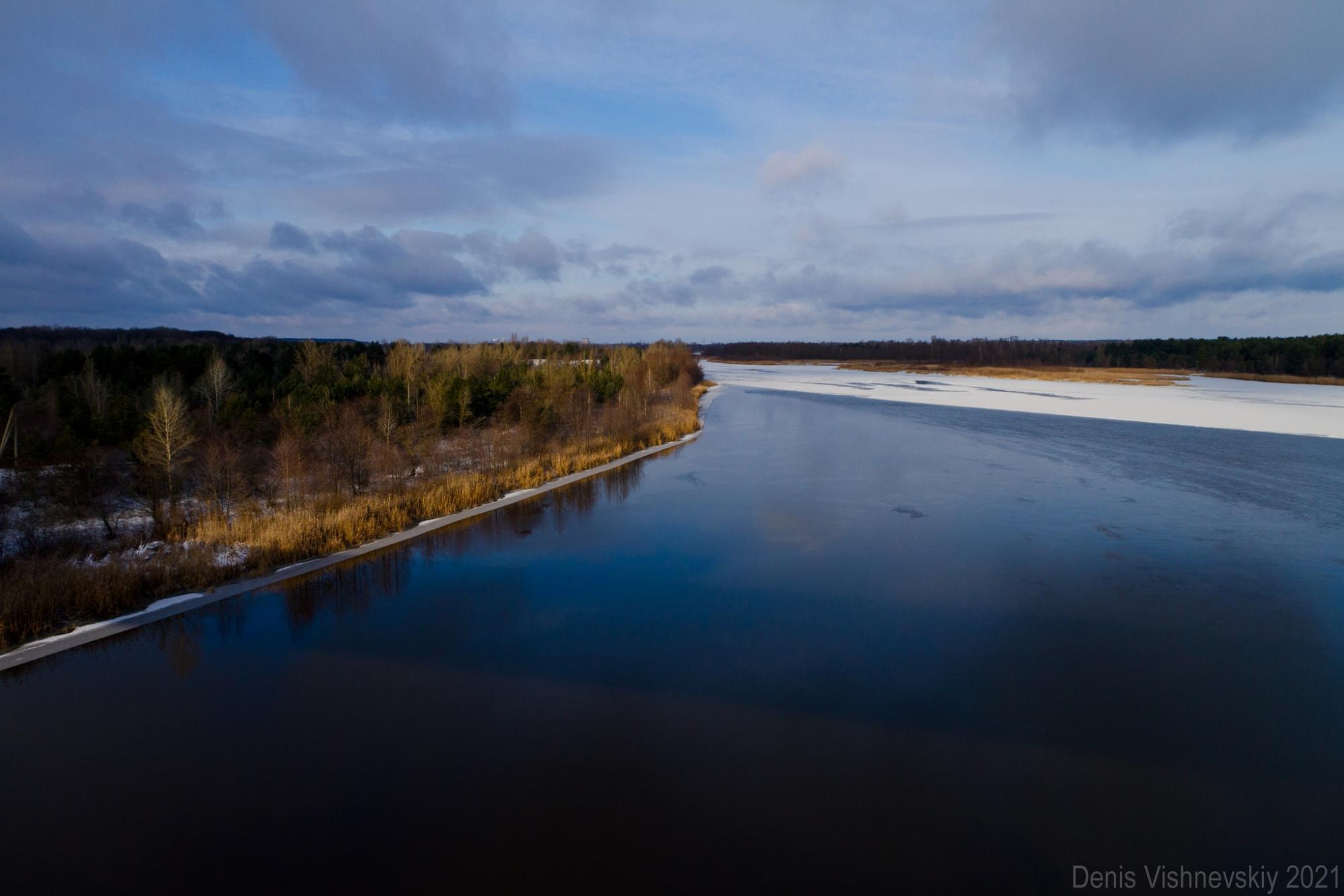 В Чернобыле показали восхитительные фото, как ловят солнце животные, которые не заснули зимой