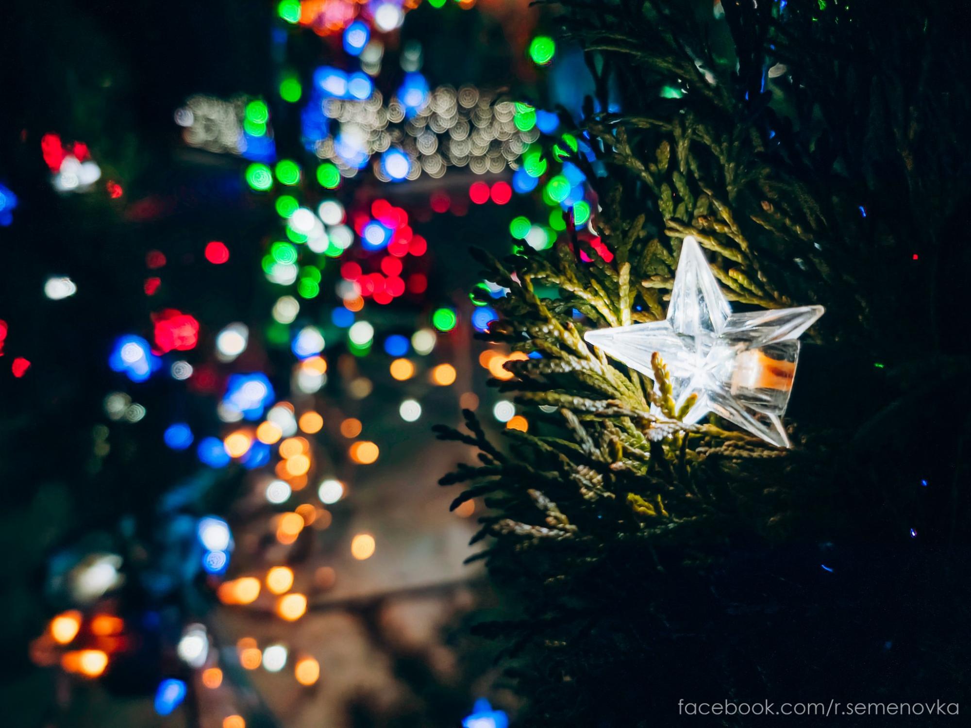 Под Черниговом мужчина сказочно украсил свой дом: праздничные фото