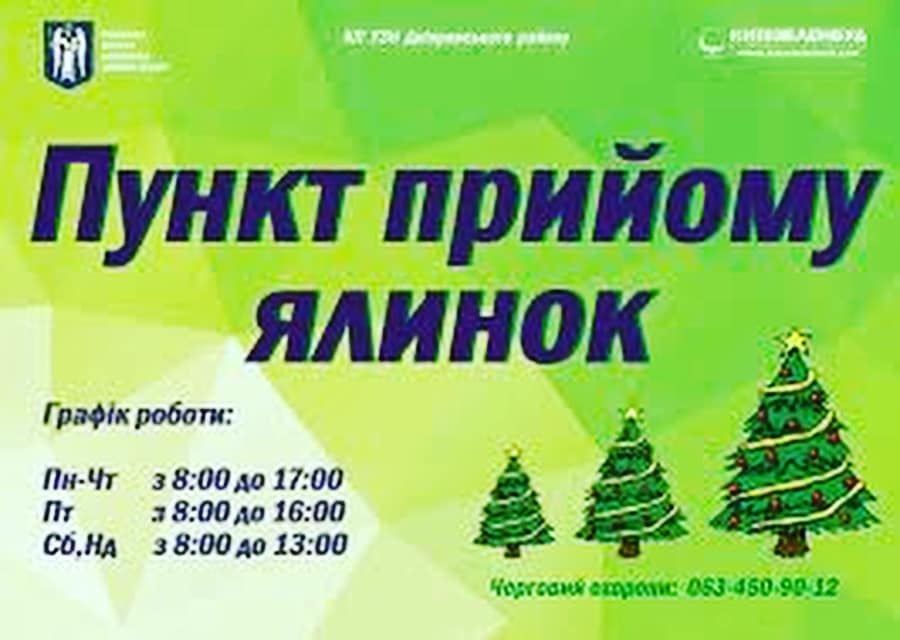 В Киеве начнет работать пункт приема елок: названа дата и адрес