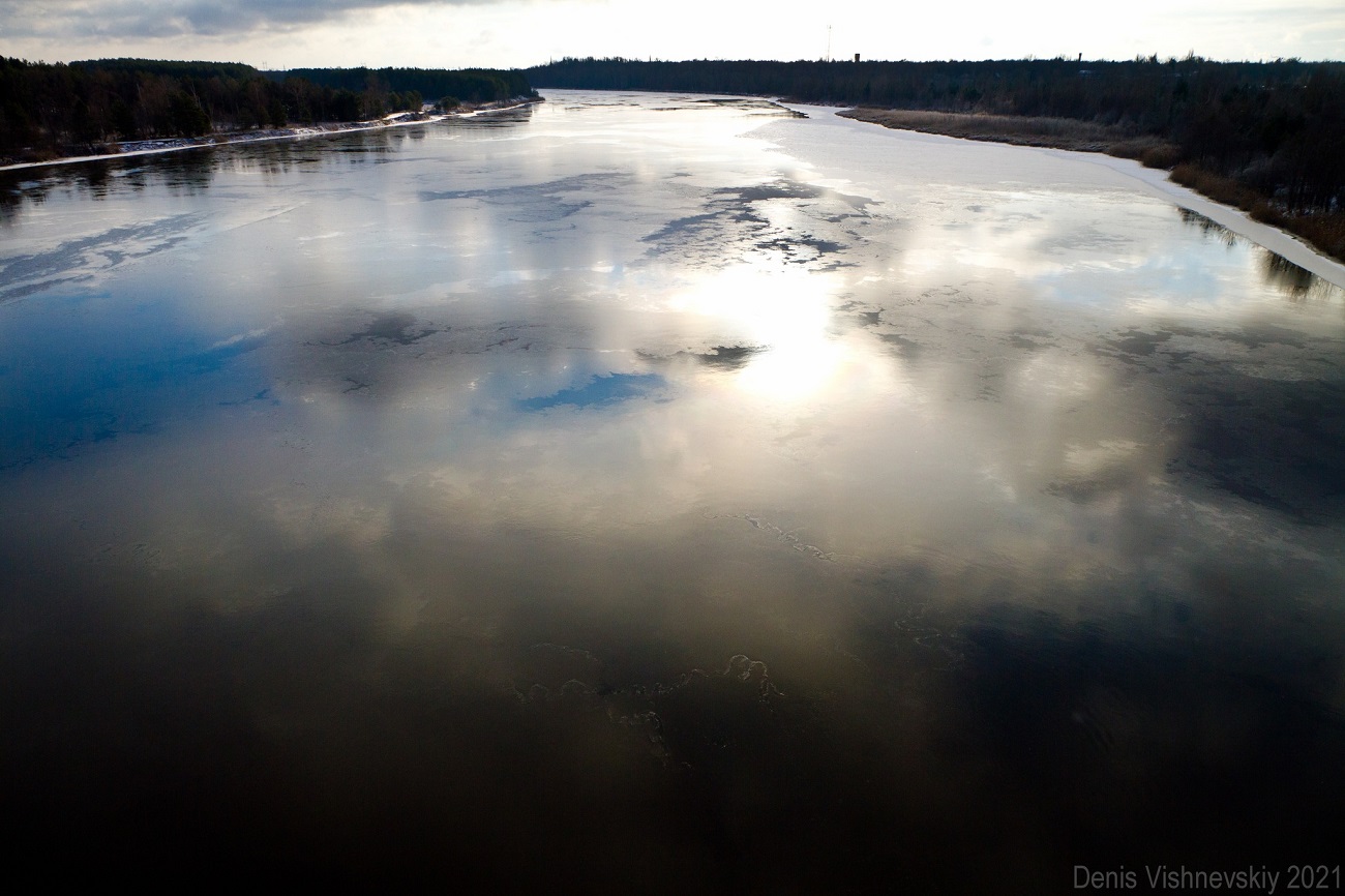 В Чернобыле показали восхитительные фото, как ловят солнце животные, которые не заснули зимой