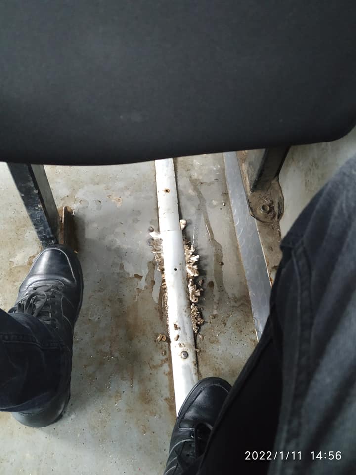 На Прикарпатье в маршрутке выросли грибы. Цена за проезд тоже (фотофакт)