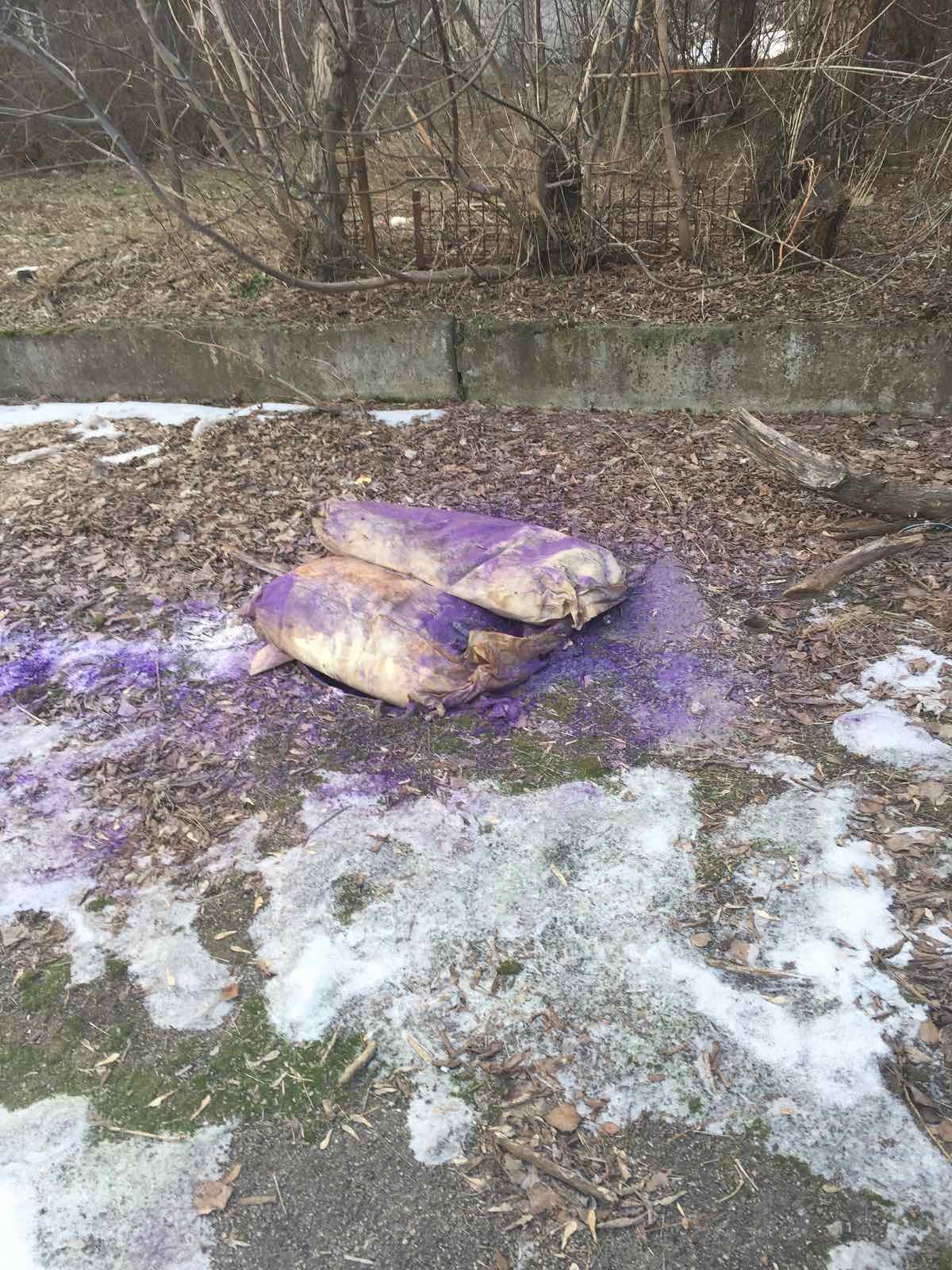 В национальном заповеднике "Хортица" обнаружили свалку химических отходов