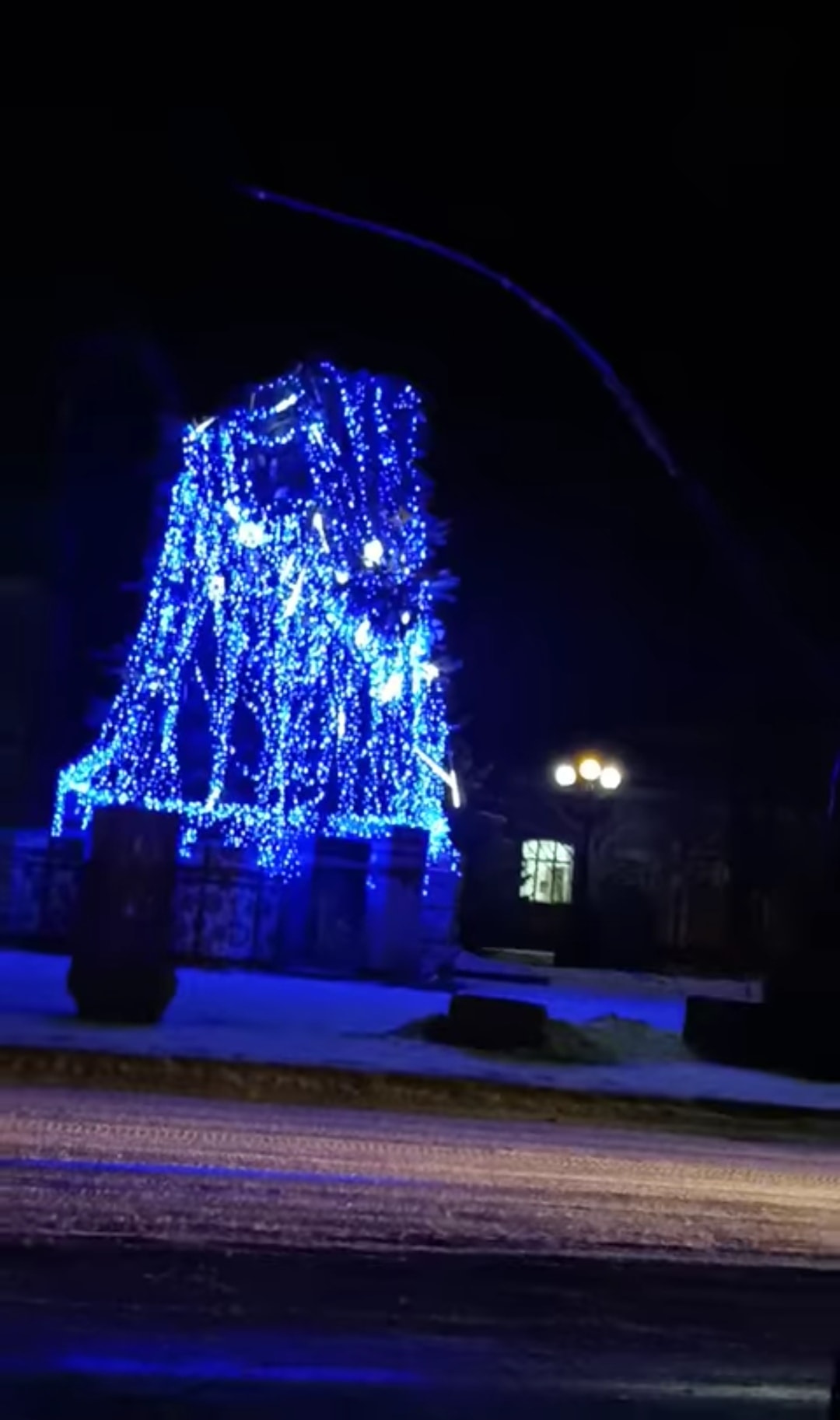 Ураганний вітер повалив новорічні ялинки в різних містах України (відео і фото)