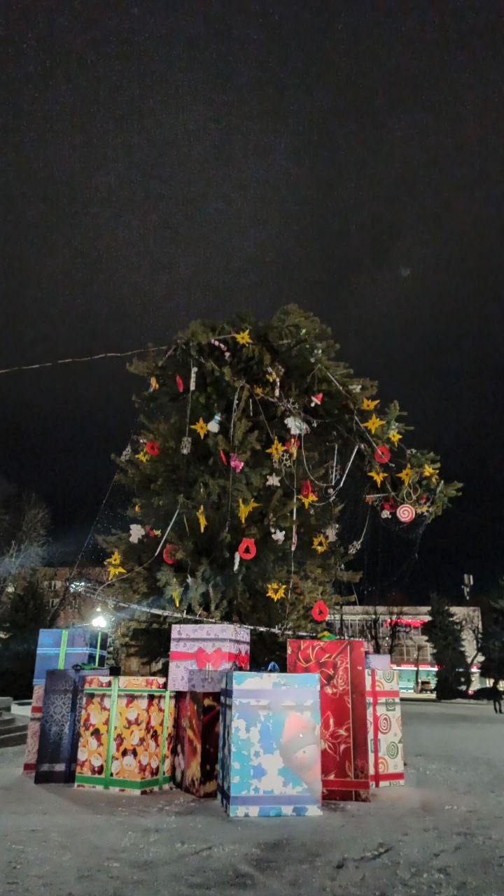 Ураганный ветер повалил новогодние елки в разных городах Украины (видео и фото)