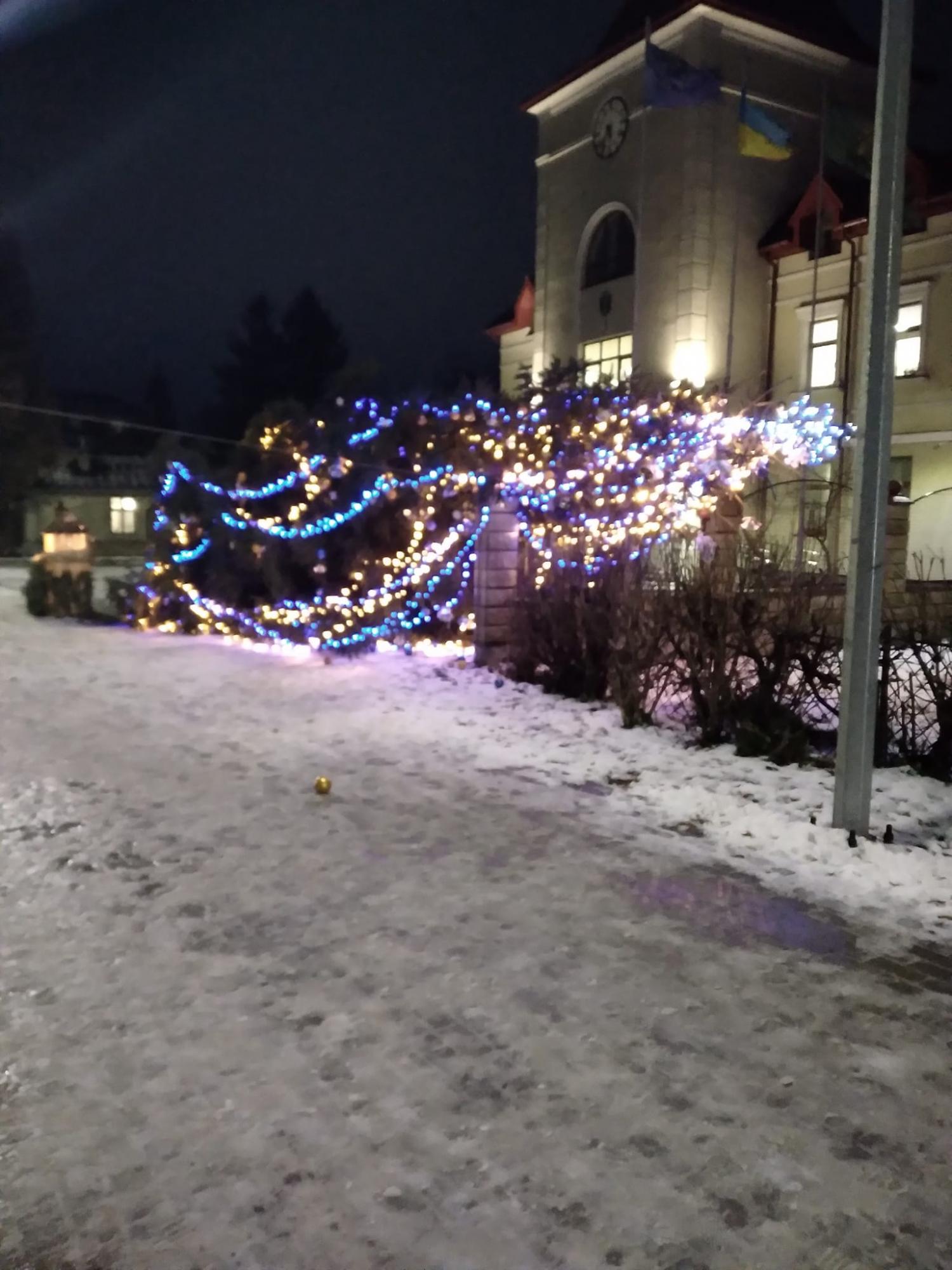 Ураганний вітер повалив новорічні ялинки в різних містах України (відео і фото)