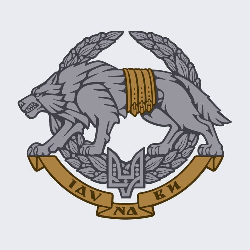 "Залізні вовки" Хоренко. Хто командує Силами спецоперацій та яка їхня роль у війні