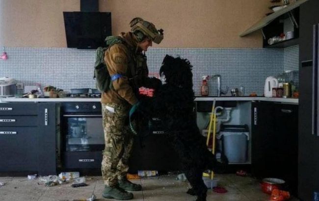 Тварини, які стали під час війни талісманами: хто залишиться у нашій пам'яті назавжди