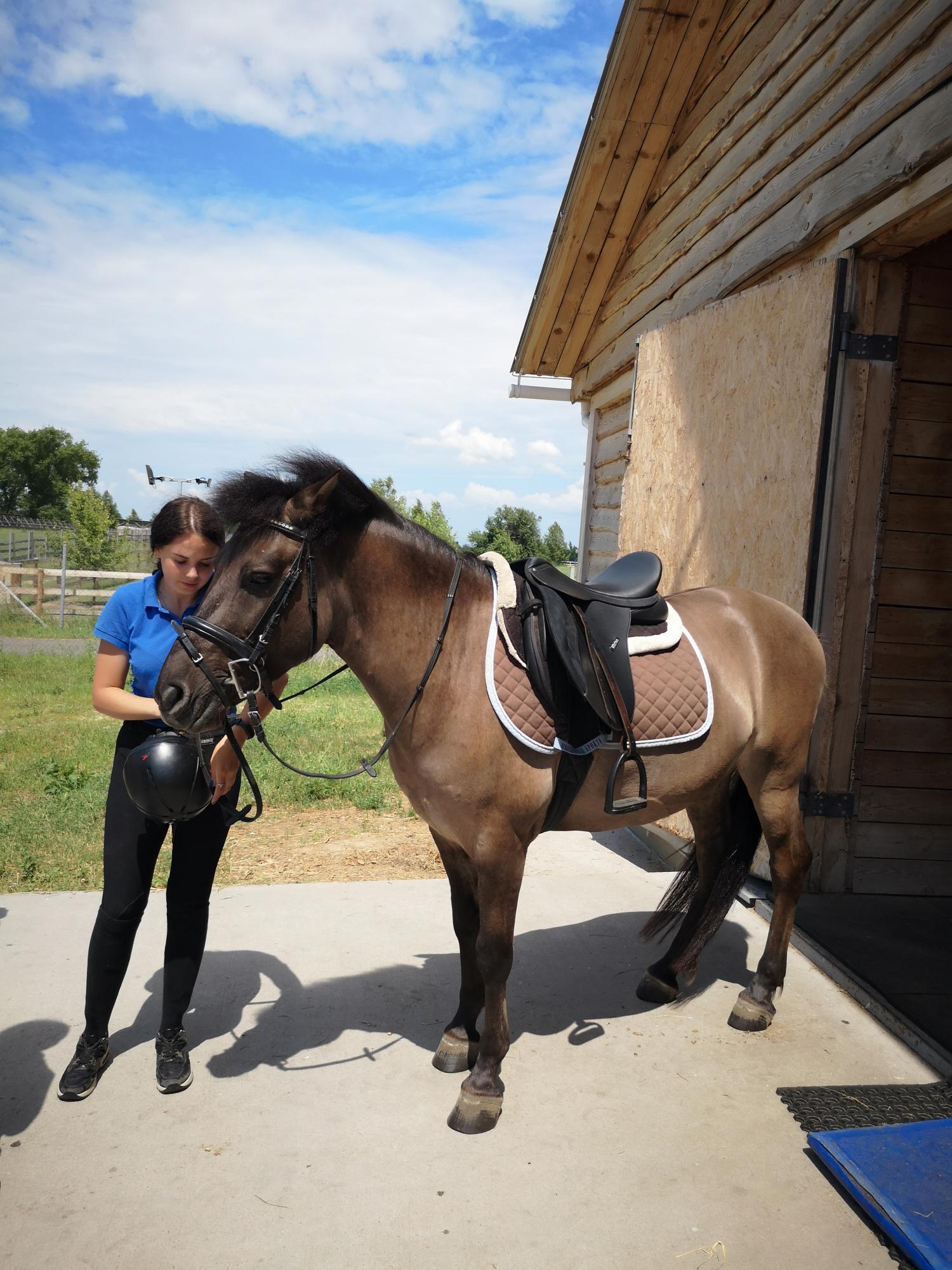Парки та етнокомплекси. Де недорого відпочити поблизу Києва: яскраві ідеї