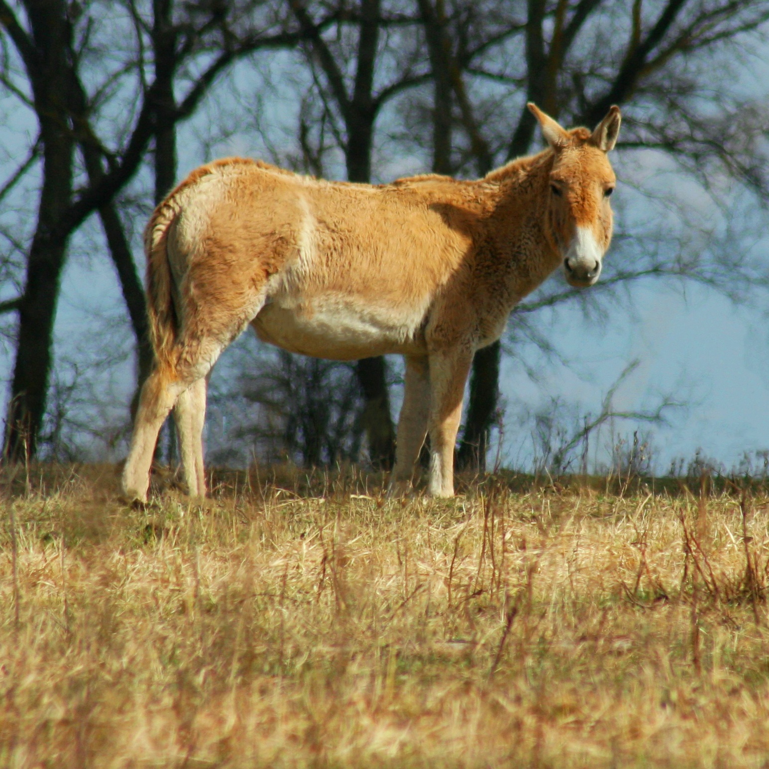 Парки та етнокомплекси. Де недорого відпочити поблизу Києва: яскраві ідеї