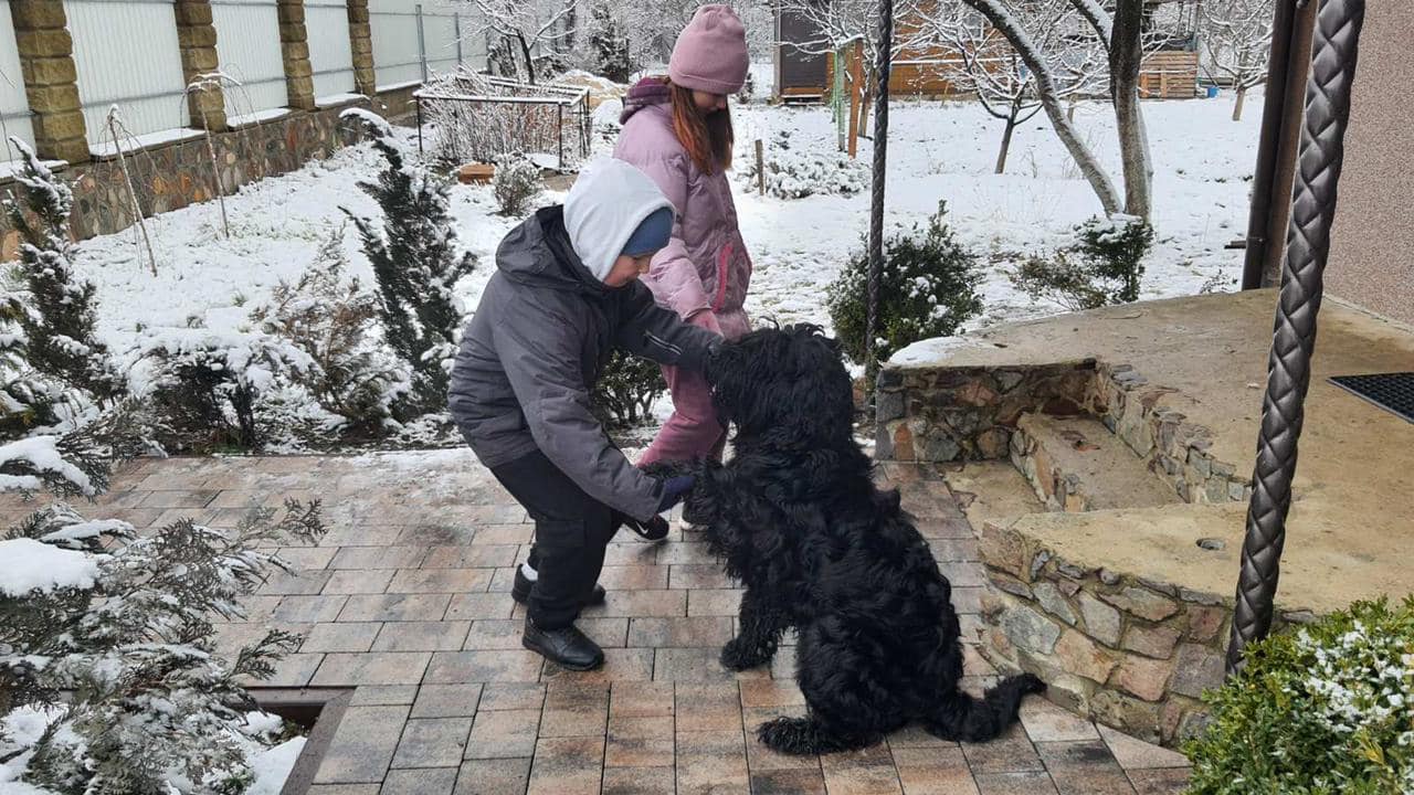 Невероятная история собаки из Ирпеня, фото которой облетело весь мир