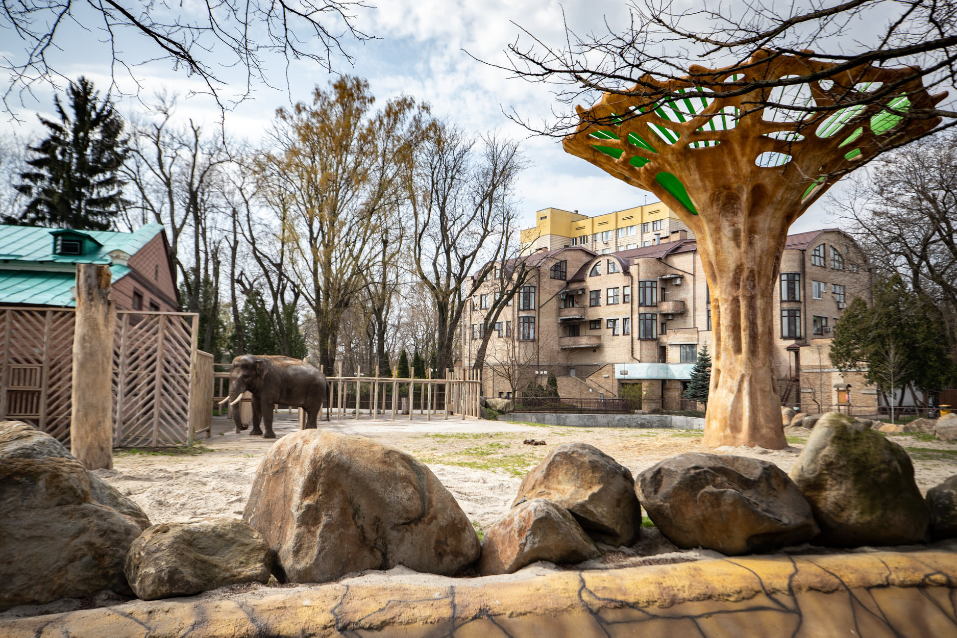 Київський зоопарк прийняв біженців з інших звіринців України: неймовірно милі фото