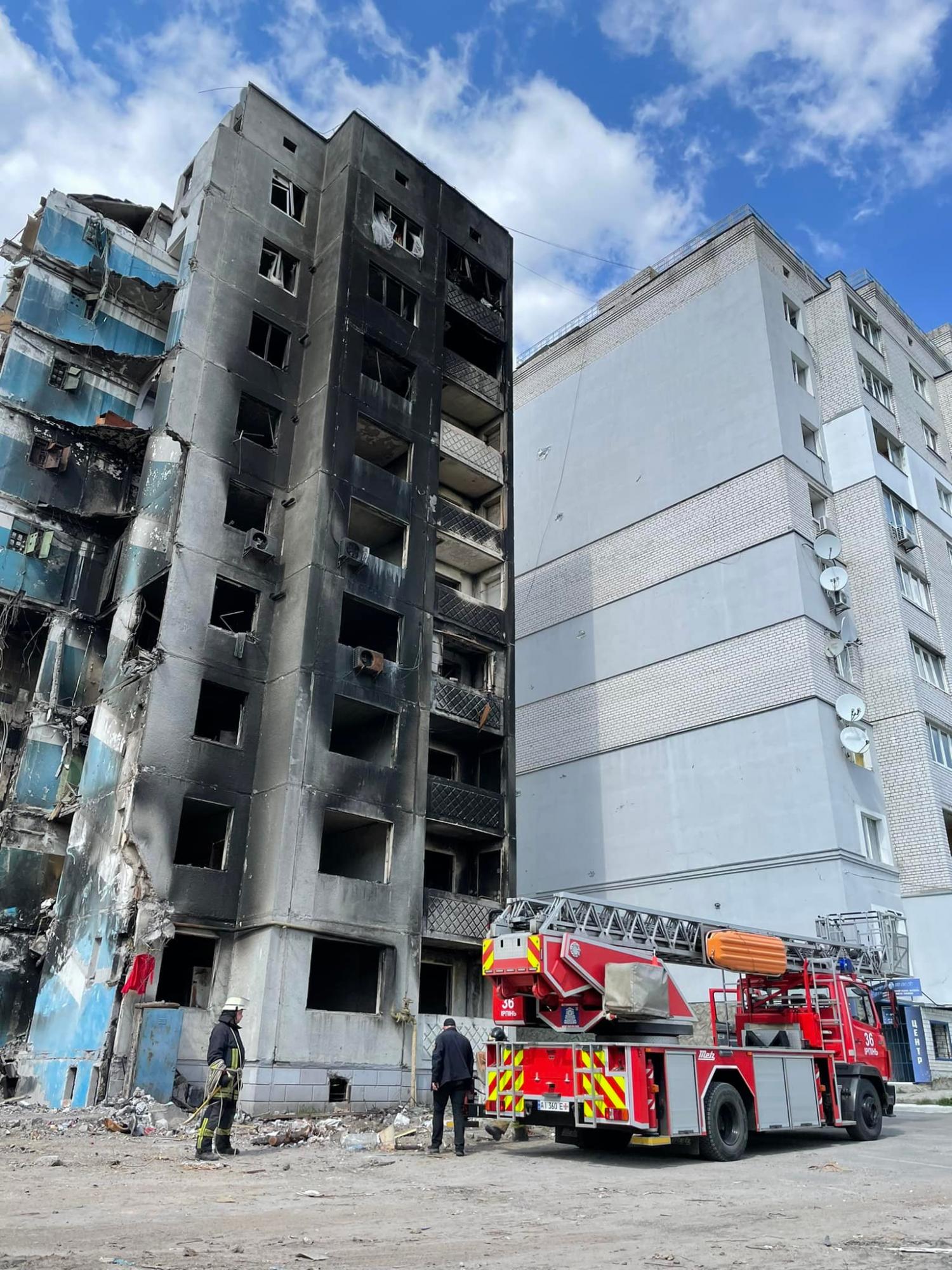 В Бородянке спасли кота, который оказался на 7 этаже разрушенного дома