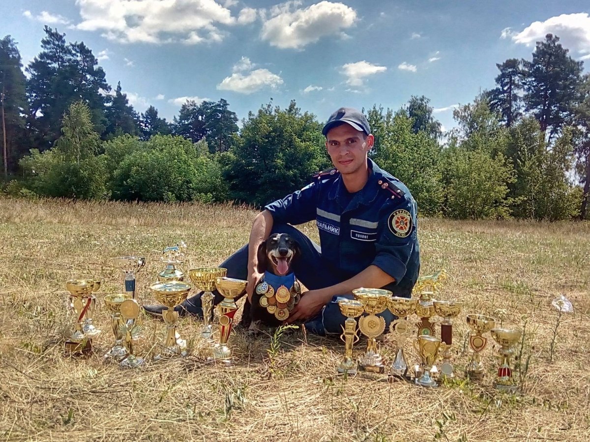 Не тільки Патрон: у ДСНС розповіли про пошуково-рятувальну таксу-ветерана
