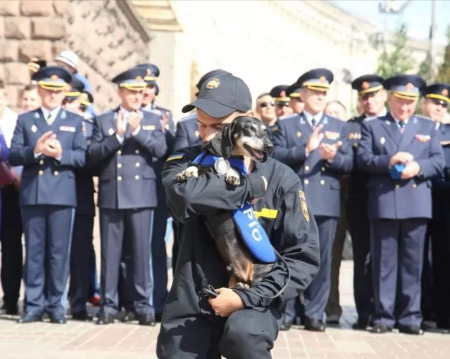 Не тільки Патрон: у ДСНС розповіли про пошуково-рятувальну таксу-ветерана
