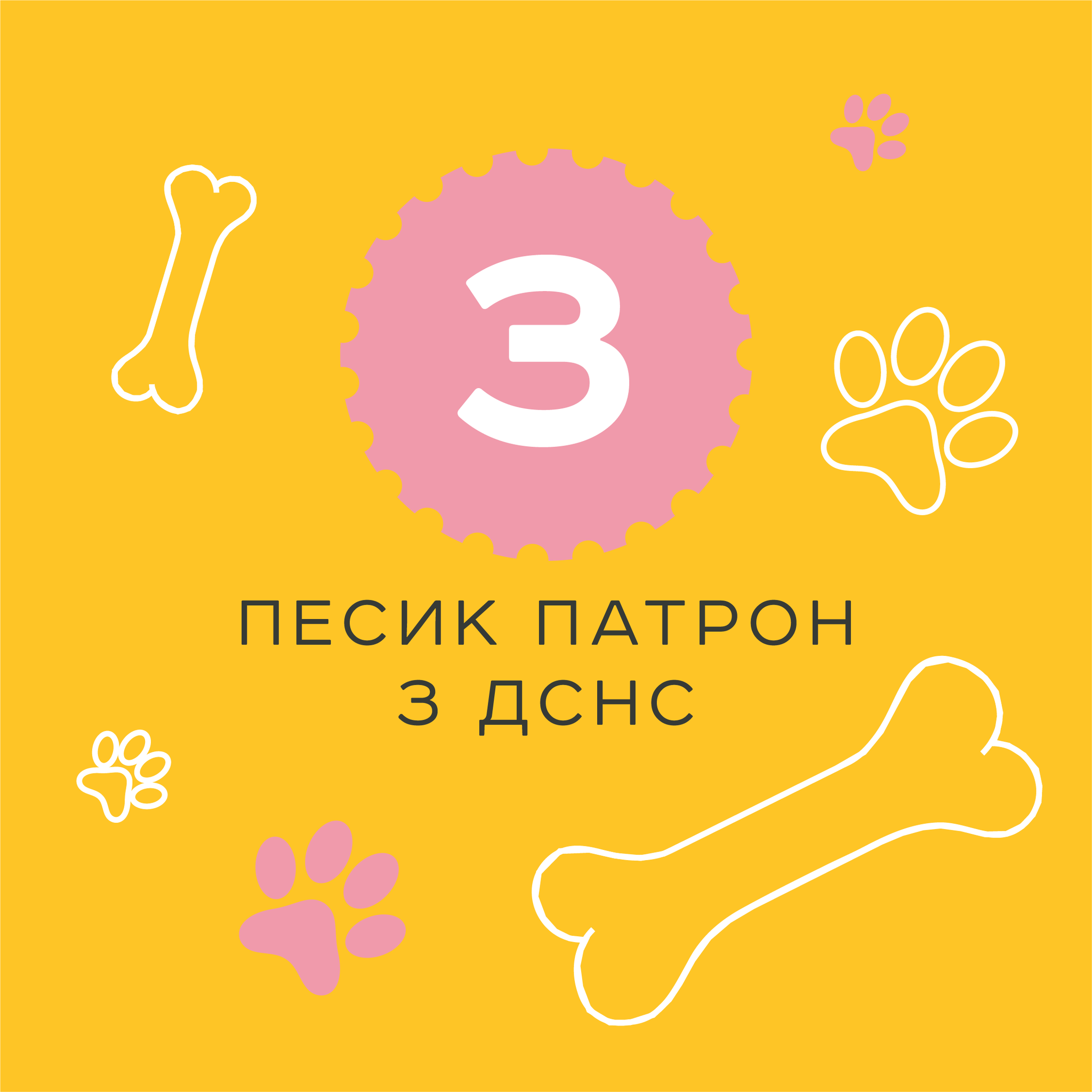 Пес Патрон, Героям Слава, Москва палає: Укрпочта объявила голосование за новые марки