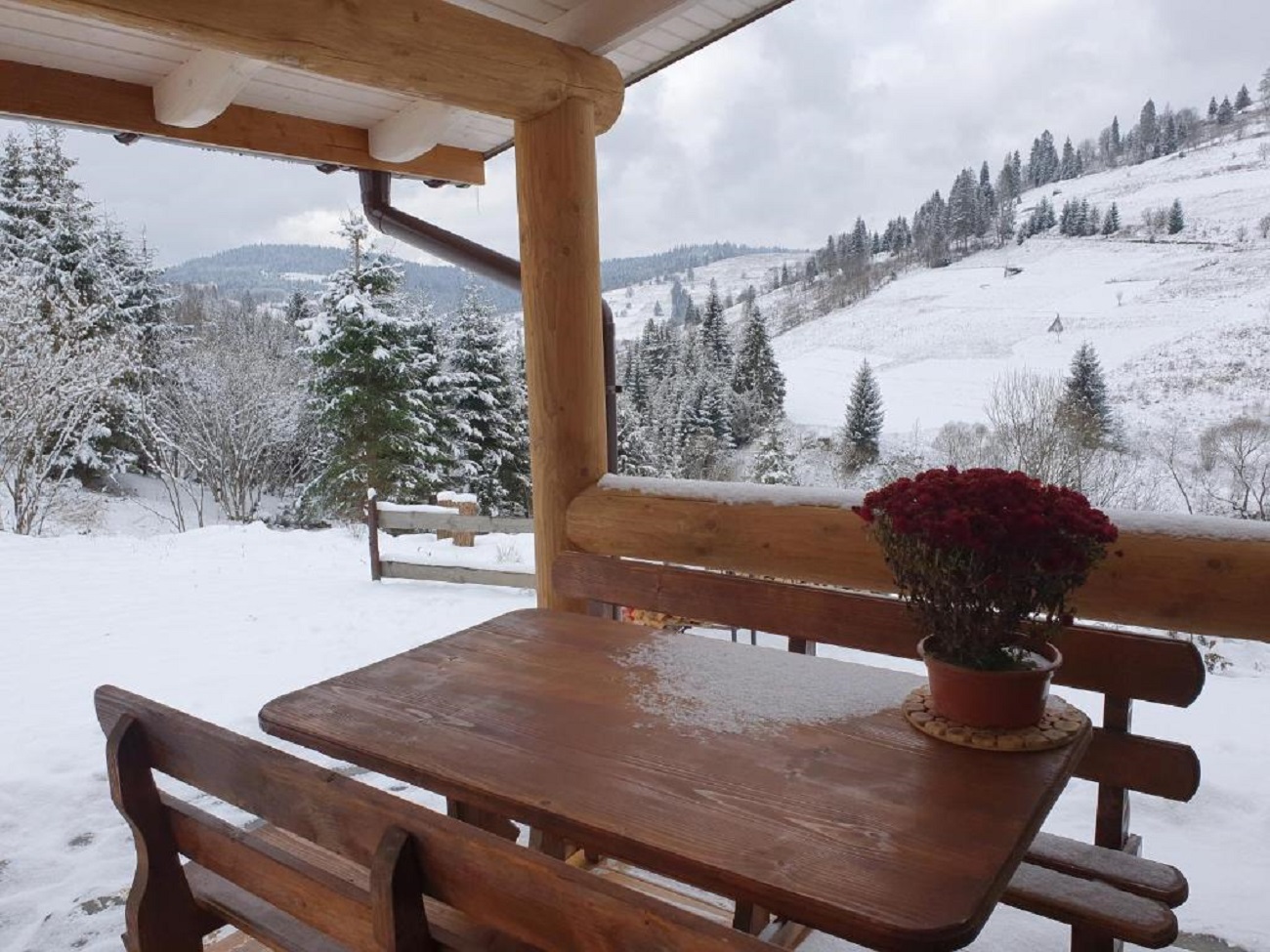 Лижі та гори. Зимові курорти України, які відкрили сезон цього року