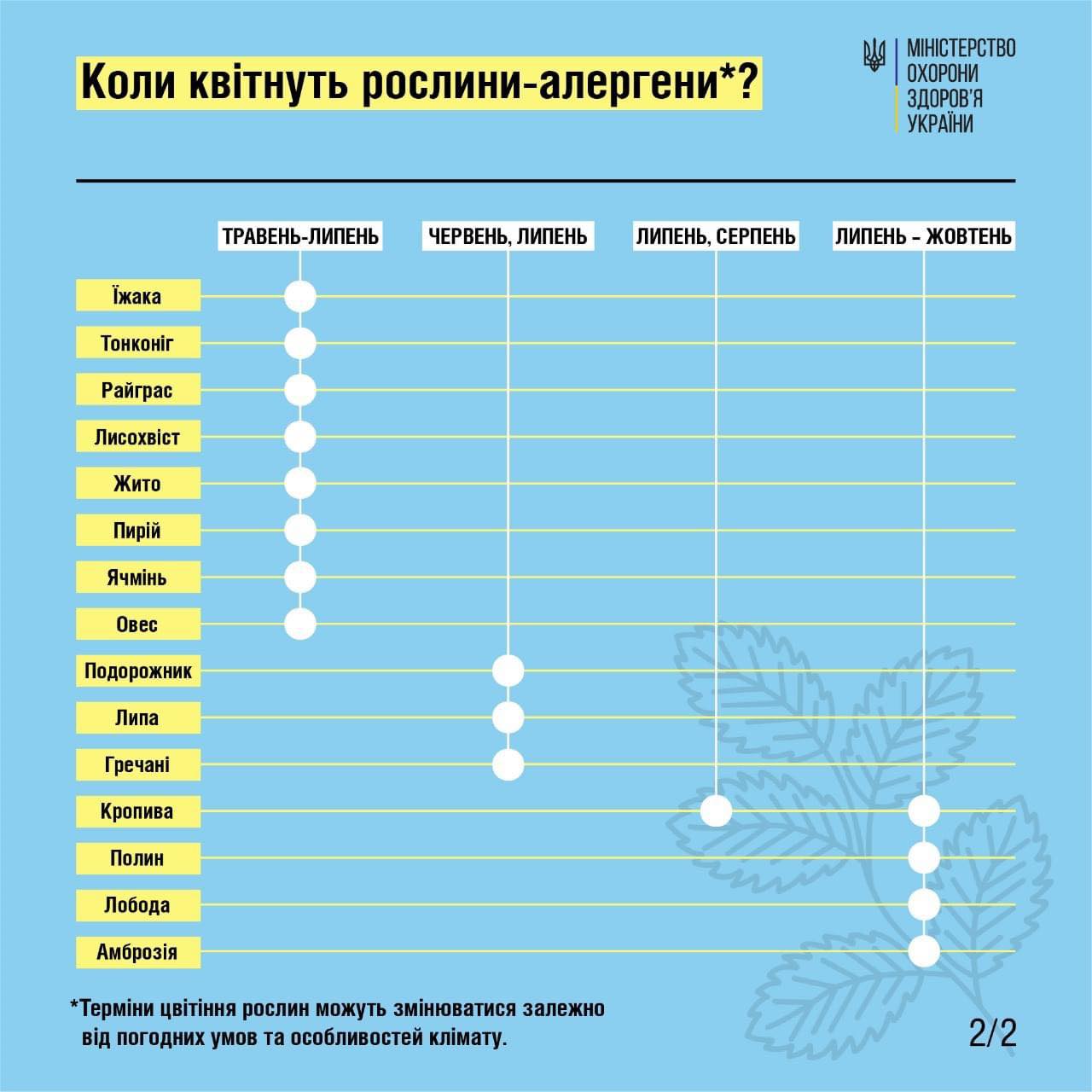 Как облегчить сезонную аллергию, если рядом нет врача