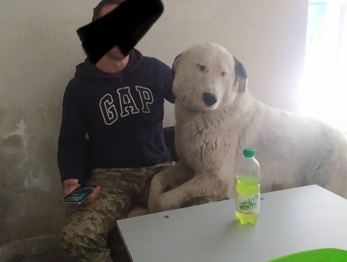 "Стережет сон и прогоняет крыс": с ВСУ "служит" четвероногий друг Бим