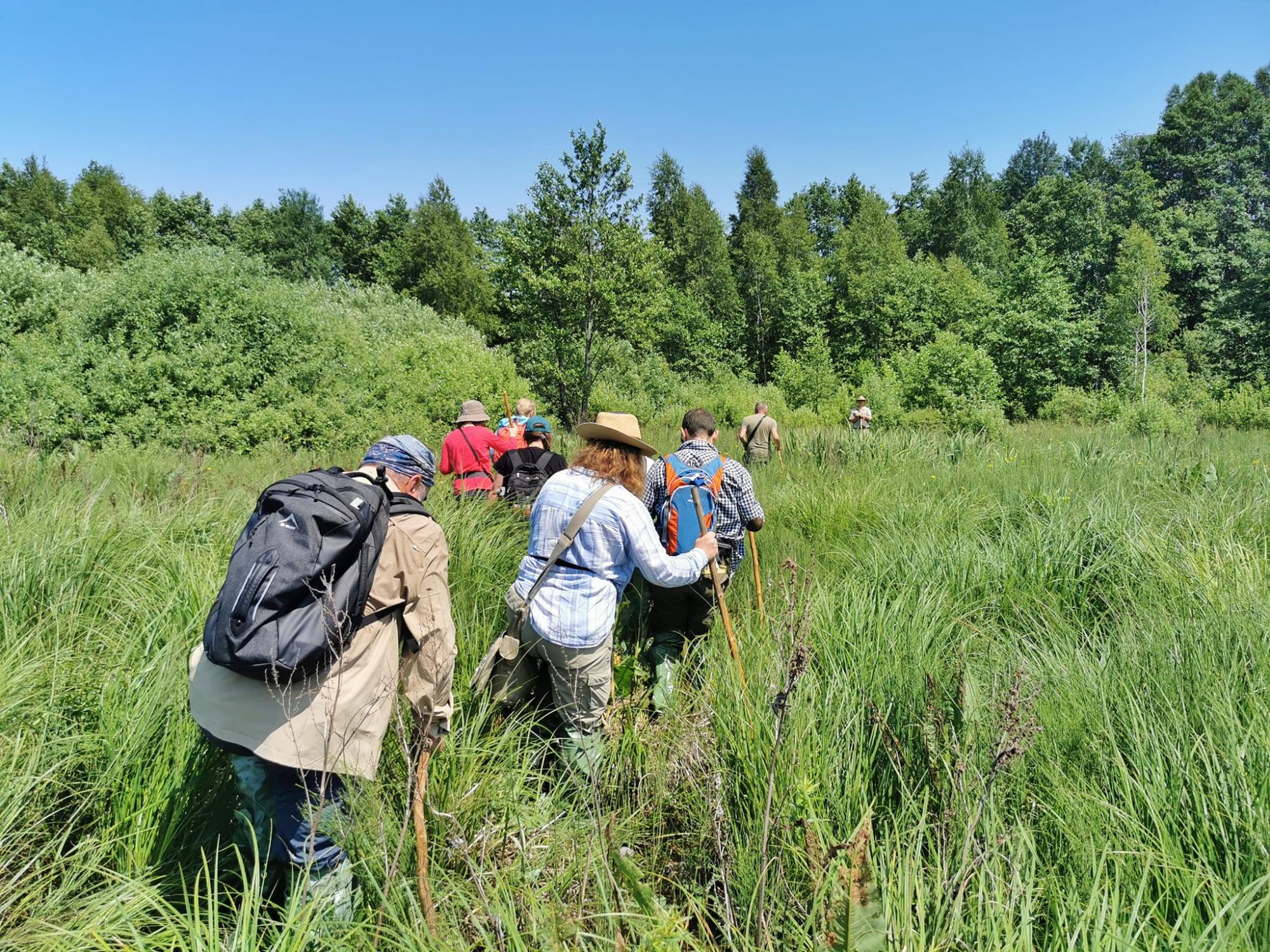 Краса Чернігівщини. У Міжрічинському парку знову проводять екскурсії