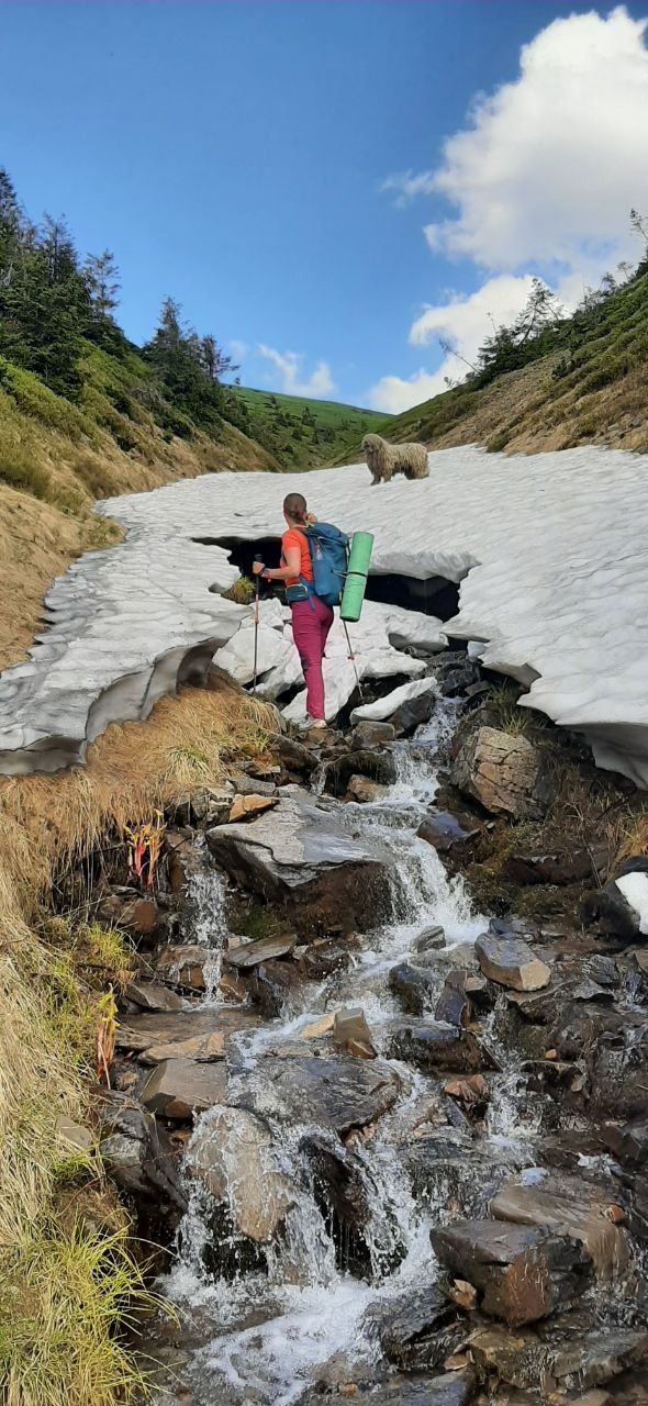 Украинские спасатели показали хвостатого "психолога" Сикро: чем прославился пес