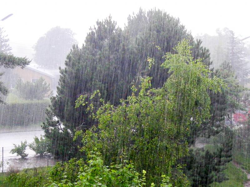 Молнии с градом, утонувшее авто и деревопад: видео и фото жуткой грозы в Киеве