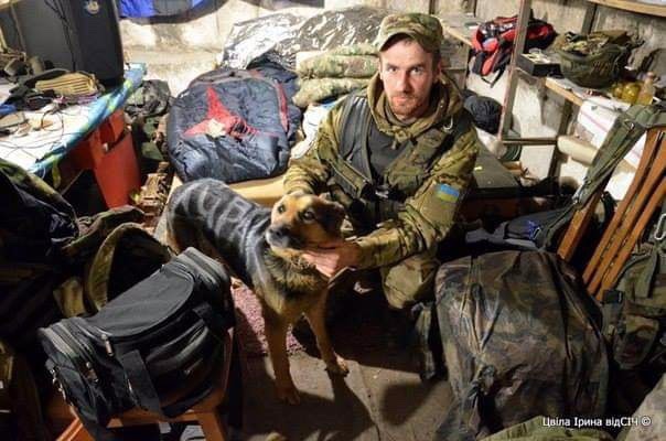 В ее уставших глазах угасала жизнь: ВСУ спасли овчарку, которую оккупанты разрисовали краской