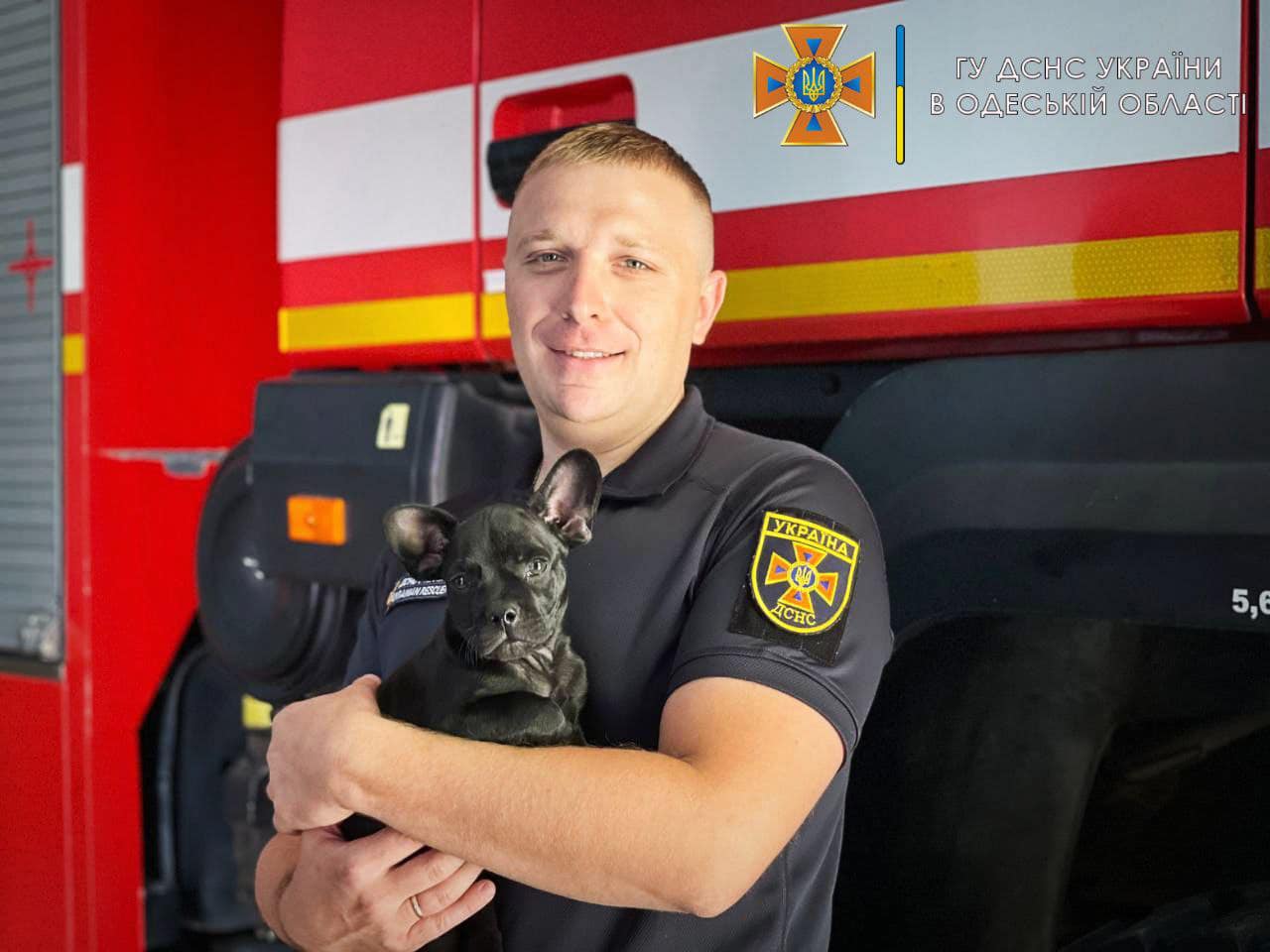 Одесские спасатели показали своего пса-талисмана: Мажор может стать конкурентом Патрону