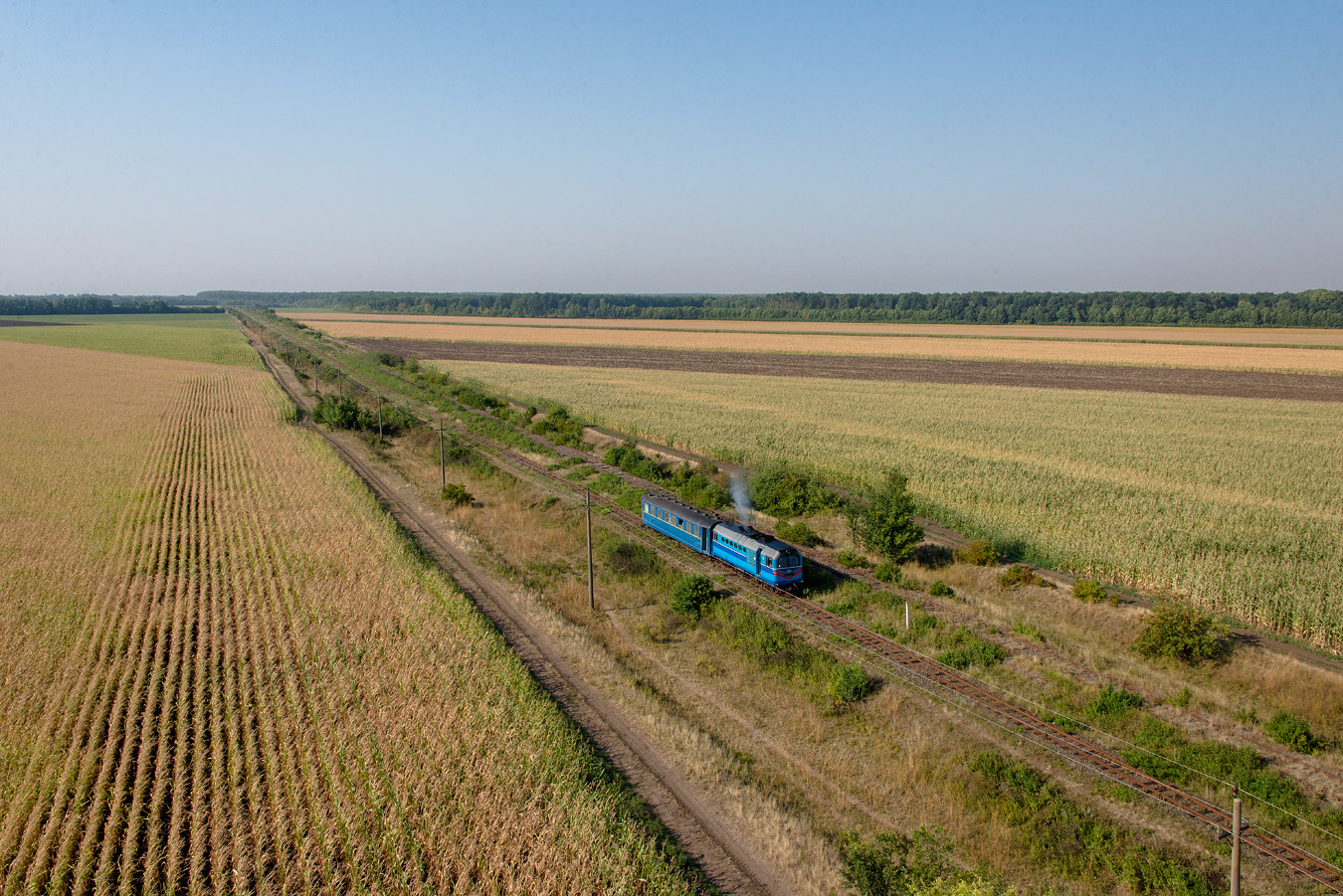Атмосфера старины. В Украине сохранилась редкая узкоколейка: что о ней известно